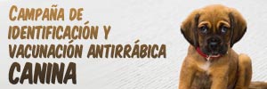CAMPAÑA DE IDENTIFICACIÓN Y VACUNACIÓN ANTIRRÁBICA CANINA